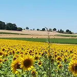 La Maronniere * Challignac