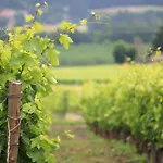 La Maronniere Challignac
