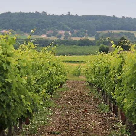 La Maronniere Apartamento *