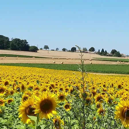La Maronniere * Challignac