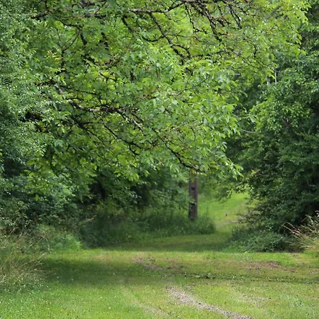 Daire La Maronniere Challignac
