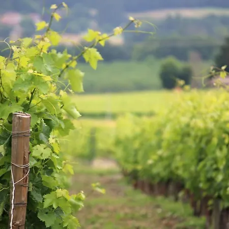 La Maronniere Challignac