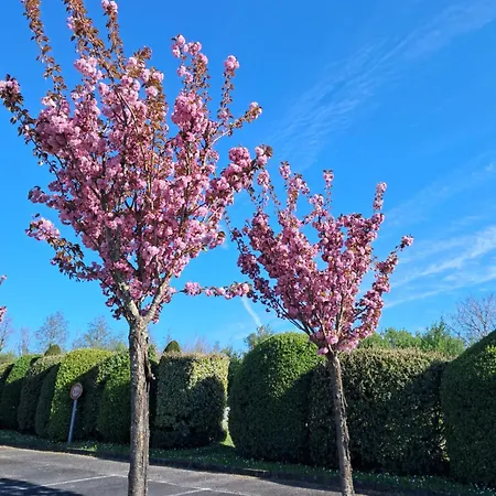 La Maronniere * Challignac